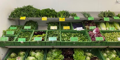 regionale Produkte - Biobetrieb - Ein Teil unserers Gemüse-Sortiments - Bioland Gärtnerei Dänzer