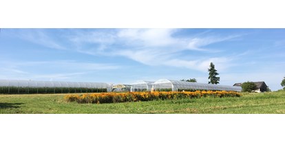 regionale Produkte - Biobetrieb - Bioland Gärtnerei Dänzer